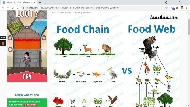 'Food Chain vs Food Web Venn Diagram'