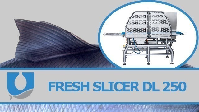 'Salmon Slicer: Fresh Slicer DL 250 | Uni-Food Technic A/S'