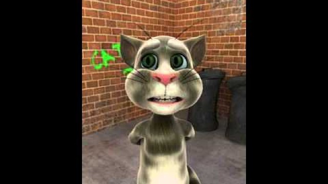 'Chinese food order by talking Tom the cat'