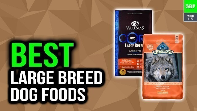 'Best Large Breed Dog Foods 2020 (Top 5 Picks)'