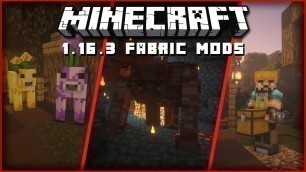 '22 GREAT Mods for Minecraft 1.16.3 (FABRIC)'