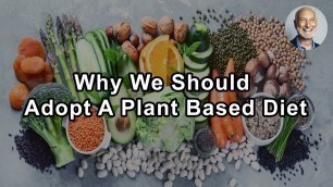 'Why We Should Adopt A Plant Based Diet As A Society And Make Factory Farms Disappear'