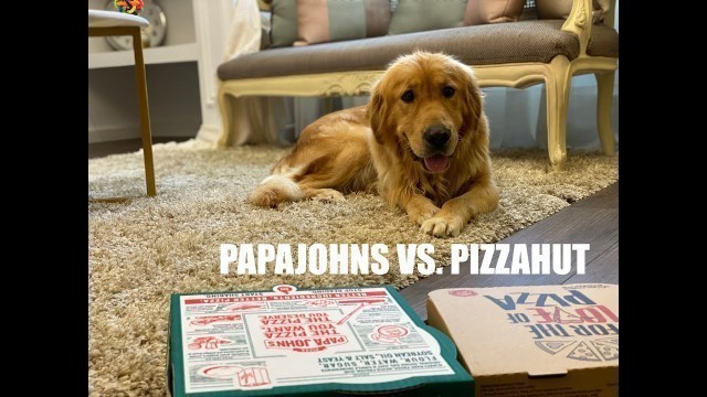 'My Dog Reviews Fast Food PapaJohns vs. PizzaHut | George & Smoky Family'