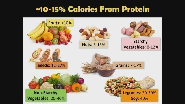 'The Real Protein Comparison In Meat vs Plant Based - By Author Brenda Davis'