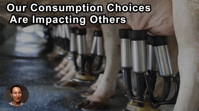 'It\'s Important To Continue To Learn About The Ways That Your Consumption Choices Are Impacting Other'