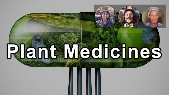 'Looking At Ways To Take Plant Medicines Further -  David Wolfe, Gabriel Cousens, Sunil Pai'