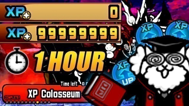 'The Battle Cats - How to get 99 Millions XP within an Hour?!! (XP Colosseum farming)'