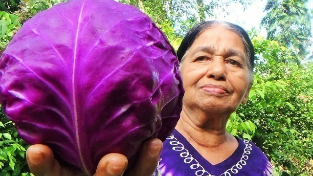 'Village Foods - Cooking Purple Cabbage by my Mom / Village Life'