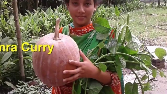 'healthy village food | vegetable | basella leaf and pumpkin recipe | cooking by street village food'