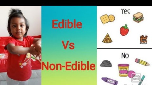 'Edible Vs Non - Edible | Toddlers | Identification | Categorization | Q & A | Food Items |'