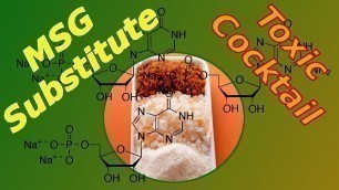 'What is Disodium Inosinate and Guanylate = MSG Substitute - Food Label Ingredients'