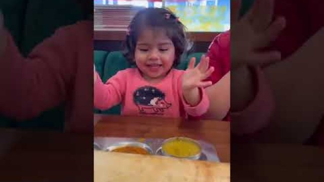 'Toddler Enjoying Indian Food in Amsterdam #Shorts #ytshorts'