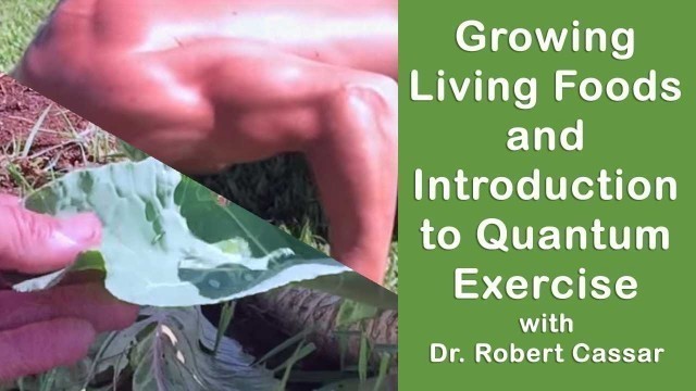 'Growing Living Foods & Introduction to Quantum Exercise | Dr. Robert Cassar'