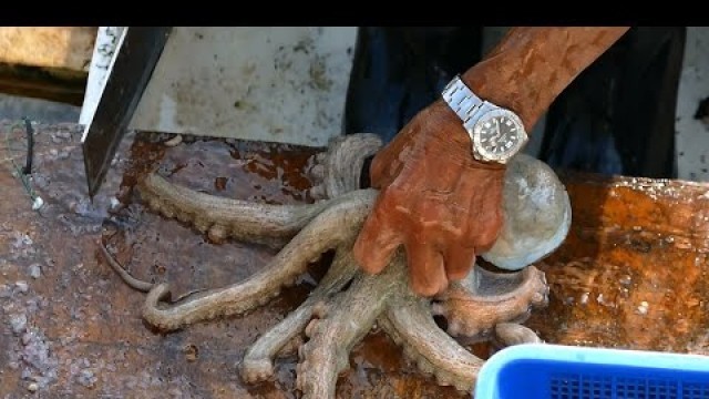 'Cutting Live Octopus in Sai Kung seafood market, Hong Kong'