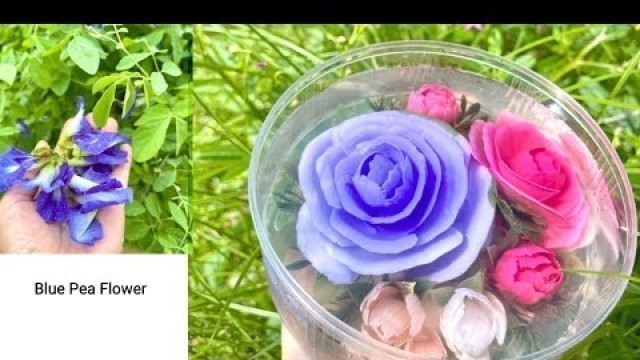 'Jelly Art,How to make natural colour from Blue Pea flower'