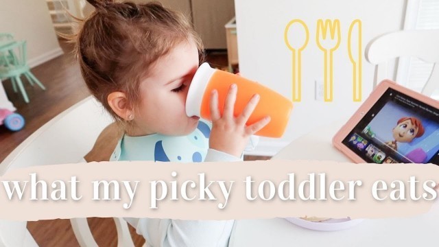 'WHAT MY PICKY TODDLER EATS IN A DAY 2021 | BREAKFAST, LUNCH, + DINNER |  EASY TODDLER MEAL IDEAS 