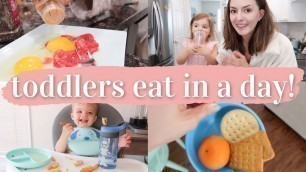 'WHAT MY TODDLERS EAT IN A DAY 2021 | easy meal ideas for picky eaters! | 1 + 3 yrs old | KAYLA BUELL'