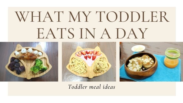 'TODDLER MEAL IDEAS | WHAT MY PICKY TODDLER EATS IN A DAY | HEALTHY BABY RECIPES | PHILIPPINES'