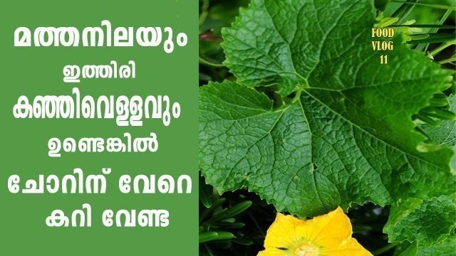 '#മത്തൻ ഇലയും കഞ്ഞിവെള്ളവും ഉണ്ടെങ്കിൽ ചോറിനു വേറെ കറി വേണ്ട#creative food vlog 11'