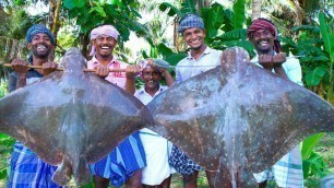 'GIANT STINGRAY Fish Cooking | Monster SeaFood Stingray Fish Cutting and Cooking | Thirukkai Kulambu'