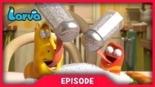 'LARVA - EAT LESS SALT | 2017 Cartoon Movie | Cartoons | Comics | LARVA Official'