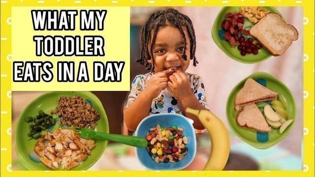 'What My 2 Year Old Eats in a Day! | Quick Toddler Meal Ideas'