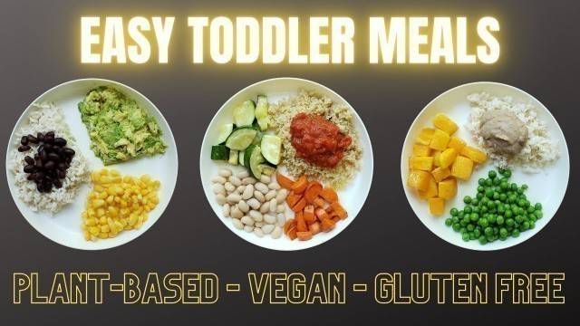 'Easy Vegan Toddler Meals - Plant-Based and Gluten Free'