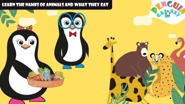 'Animal Food for Toddlers  learn about animals for babies cartoon - cartons - Penguin Galaxy'