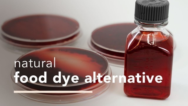 'Unexpected Ways of Making Natural Food Dyes'