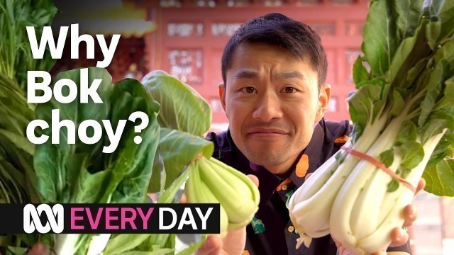 'Why is bok choy in everything? 