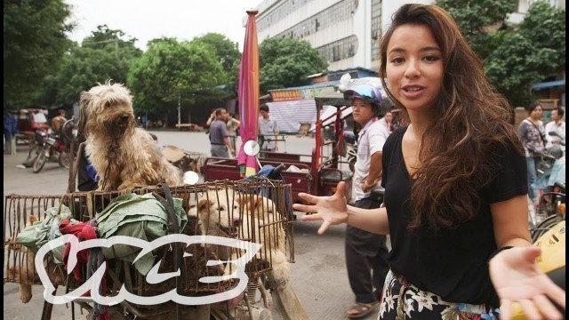 'Dining on Dogs in Yulin: VICE Reports (Full Length)'