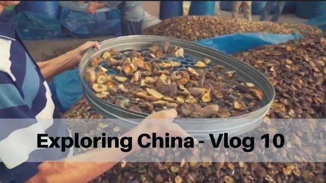 'Mushroom Market - China Vlog 10'