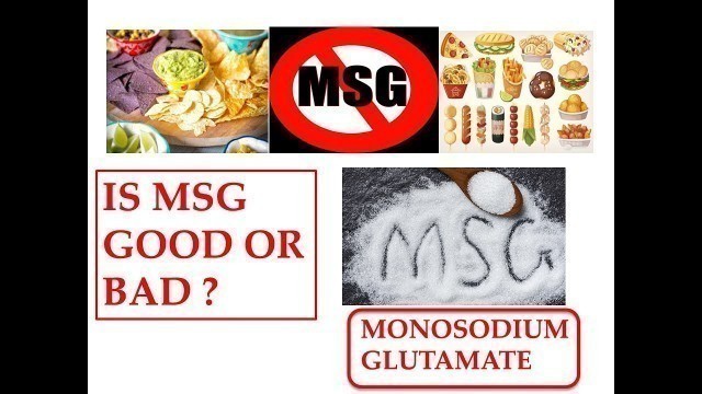 'IS MSG GOOD OR BAD TO HEALTH? | MONOSODIUM GLUTAMATE | CHINESE FOODS AND MSG | AJINOMOTO'