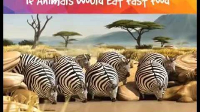 'Animal eat fast food cartoon'