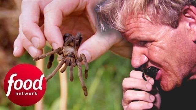 'Gordon Ramsay Tries To Eat A Fried Spider In Cambodia | Gordon\'s Great Escape'