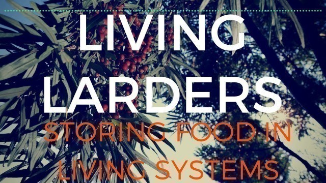 'Living Larders - Perennial Living Food Stores'