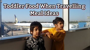 'Best Travel Food for Kids | Indian Vegetarian Toddler Meal Ideas'