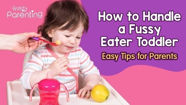 'How to Handle A Fussy Eater Toddler (Foods to Introduce & Tips to Manage Fussy Eating)'