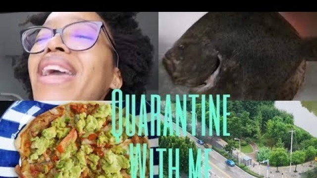 'Wuhan China Vlog: quarantine with me'