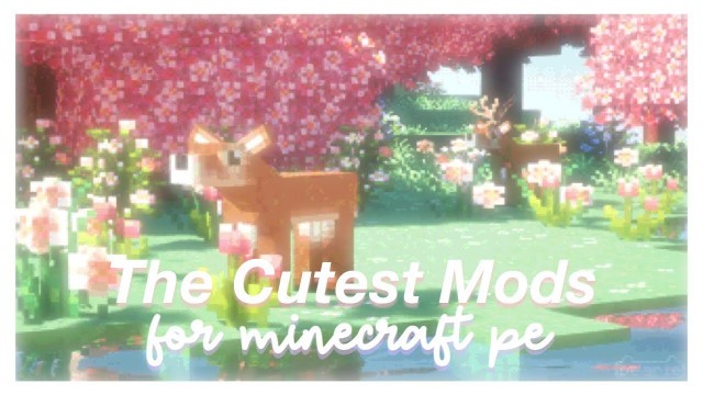 'The Cutest Mods For Minecraft PE! 