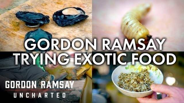 'Gordon Ramsay Trying Exotic Food | Part Two | Gordon Ramsay: Uncharted'