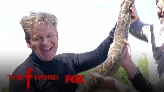 'Gordon And Jack Ramsay Hunt For A Burmese Python | Season 1 Ep. 8 | THE F WORD'