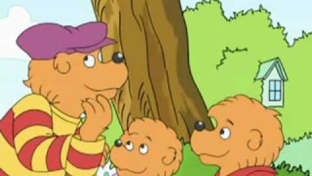 'The Berenstain Bears - The Birthday Boy (2-2)'