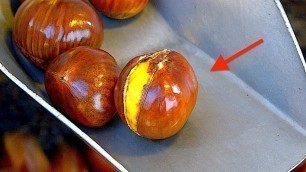 'Street Food | Golden Chestnut from Japan and China'