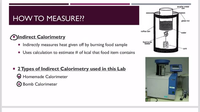 'Heat Content of Food Lab'