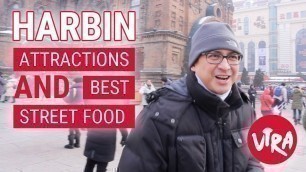 'Best Street Food & Attractions in Harbin, China (Episode I)'