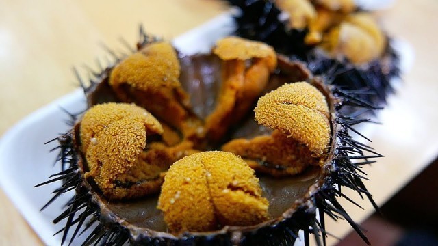 'Japanese Street Food - GIANT SEA URCHIN Uni Sashimi Japan Seafood'