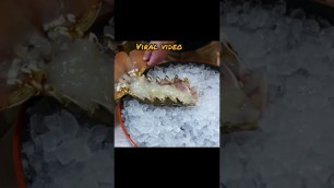 'Japanese Street Food - $600 GIANT RAINBOW LOBSTER Sashimi Japan Seafood.#youtube #video #viralshorts'