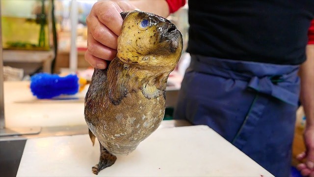 'Japanese Street Food - SMOOTH LUMPSUCKER Sushi Hotpot Okinawa Seafood Japan'