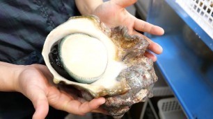 'ALIEN giant shellfish Japanese street food   巨大貝　日本'